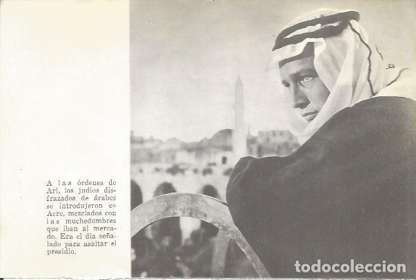 Postales: LAMINA 25354: Paul Newman caracterizado en Exodus - Varios