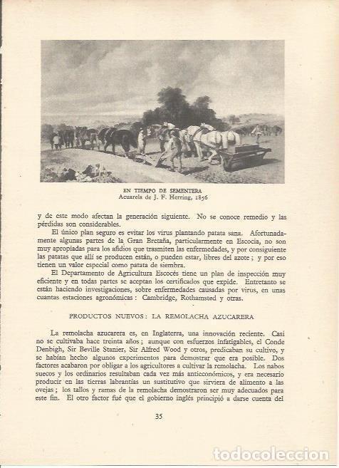 Postales: LAMINA 25499: En tiempo de Sementera, por J. F. Herring - Sir E. John Russell