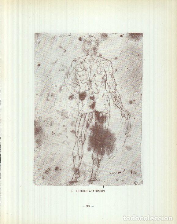 Cartoline: Dibujos de los siglos XVI y XVII: 3/4/5: Estudio anatomico + Virgen Asunta + Figura Alegorica - Rey