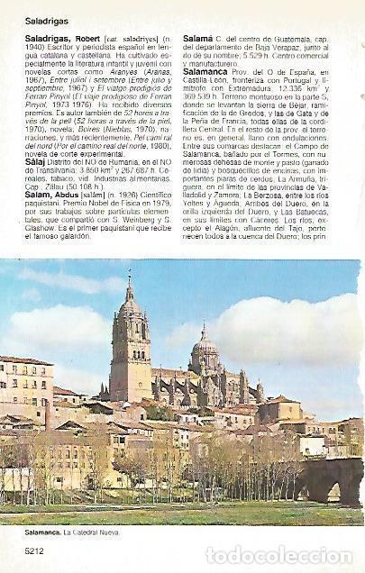 Cartoline: LAMINA 11433: Catedral Nueva de Salamanca - Varios