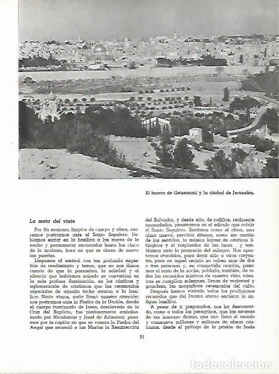 Cartoline: LAMINA 11515: Huerto de Getsemani en Jerusalen Israel - Varios