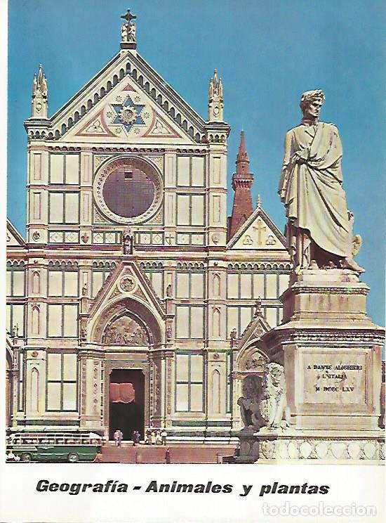 Postales: LAMINA 11491: Catedral de Florencia Italia - Varios