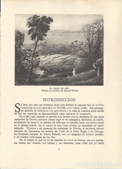 Postales: LAMINA 25495: El valle de Oro, por S. Palmer - Sir E. John Russell