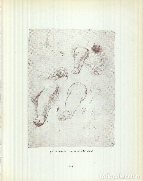 Postales: Dibujos de los siglos XVI y XVII: 108/109: Cabeza y miembros de ni&ntilde;os + Dos cabezas de angeles ni&ntilde;os