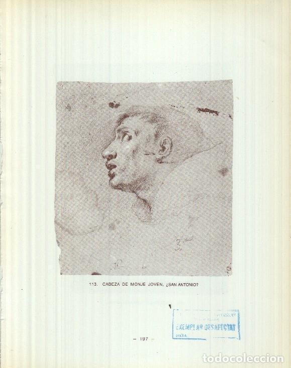 Cartes Postales: Dibujos de los siglos XVI y XVII: 113/114: San Antonio ? + Cabeza hombre joven - Reyes Duran