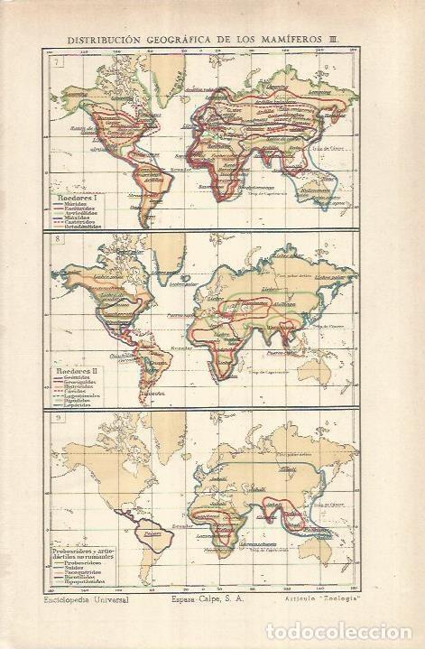 Postais: LAMINA ESPASA 37033: Mapamundi de la distribucion de roedores - Varios