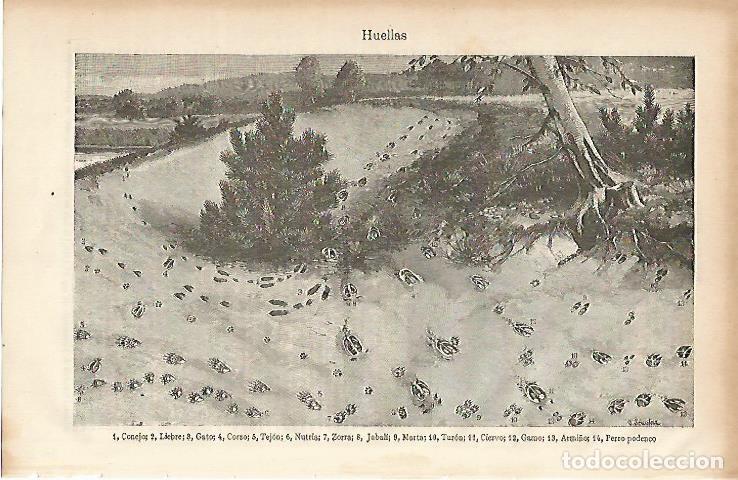 Postkarten: LAMINA ESPASA 4484: Huellas - Varios Autores