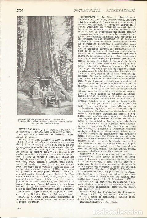 Postcards: LAMINA 51570: Secoyas en el parque de Yosemite, Estados Unidos - VVAA