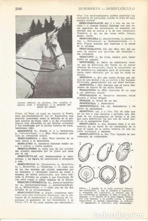 Cartoline: LAMINA 51580: Caballo semental de picadero - VVAA