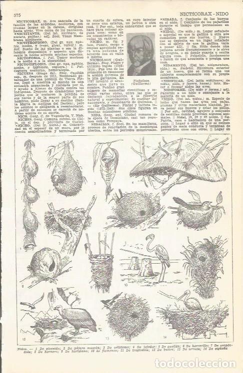 Postales: LAMINA 51713: Tipos de nidos - VVAA