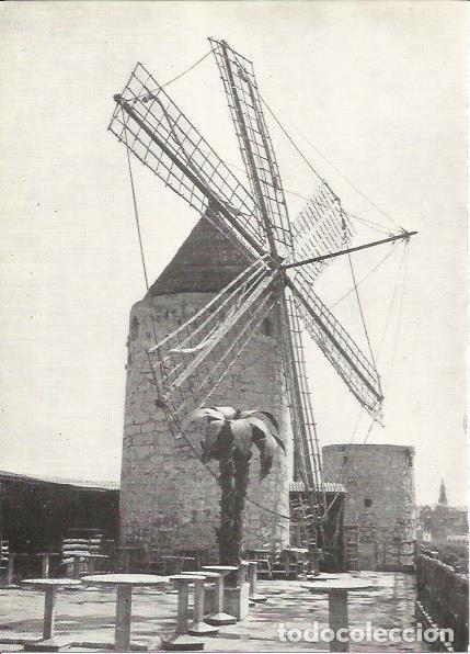 Postais: LAMINA 51434: Molino de Jack el Negro, Palma de Mallorca - M. Bartolome Lopez