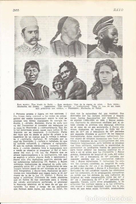 Postcards: LAMINA 51504: Ejemplos de habitantes del mundo - VVAA