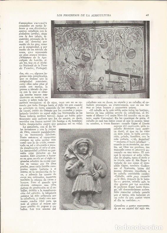 Postales: LAMINA 25866: Campesinos europeos y pastor - VVAA