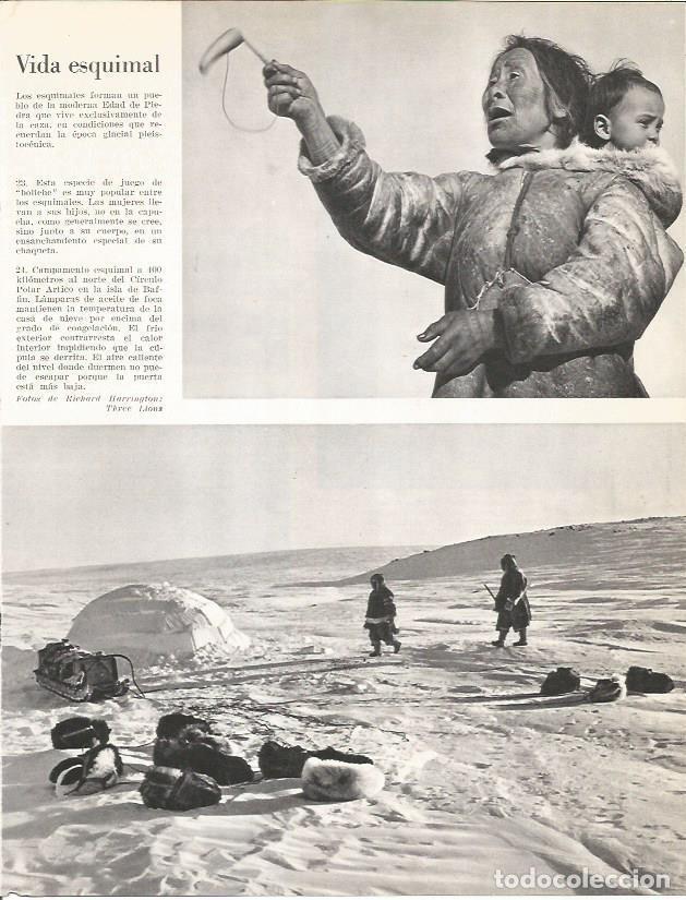 Cartoline: LAMINA 26366: Vida esquimal - Edward Weyer, Jr