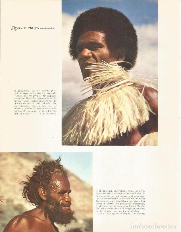 Cartoline: LAMINA 26361: Melanesio y aborigen de Australia - Edward Weyer, Jr