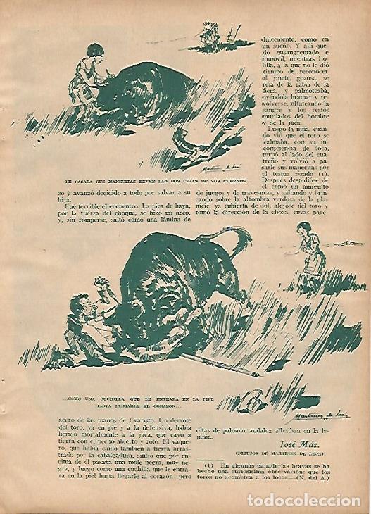 Cartoline: LAMINA BLANCO Y NEGRO 11859: Ilustraciones de Martinez de Leon - Varios