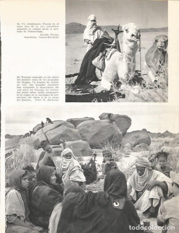 Cartoline: LAMINA 26383: Campamento Tuareg - Edward Weyer, Jr