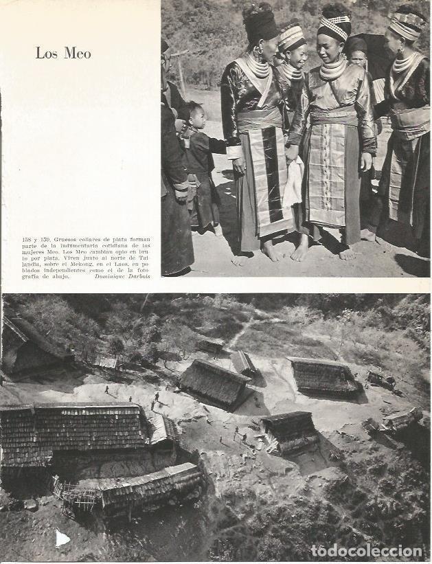 Postales: LAMINA 26408: Los Meo - Edward Weyer, Jr