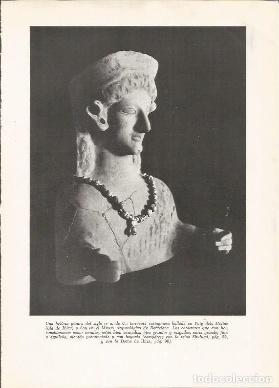 Postales: LAMINA HISTORIA 26176: Busto punico hallado en Puig dels Molins - VVAA