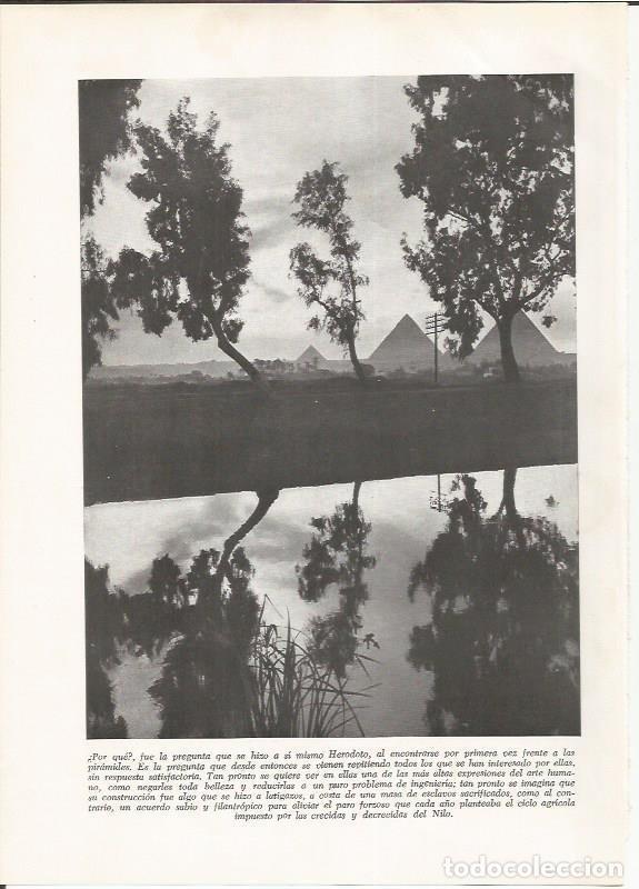 Postales: LAMINA HISTORIA 26147: Vista de las piramides, Egipto - VVAA