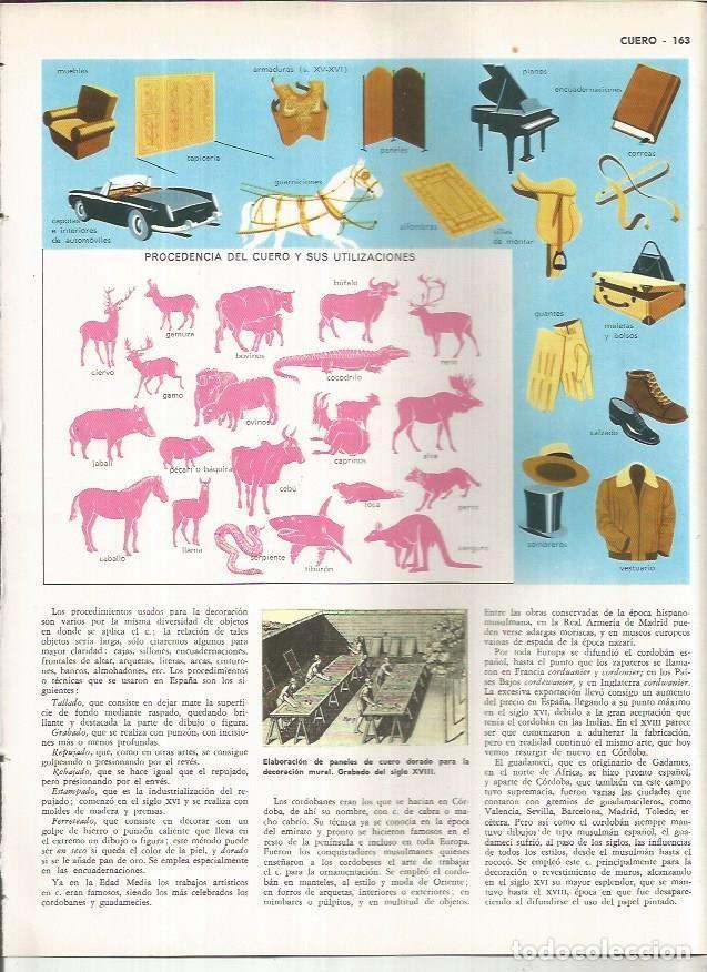 Postais: LAMINA MONITOR 01131: Procedencia del cuero y sus usos - Varios