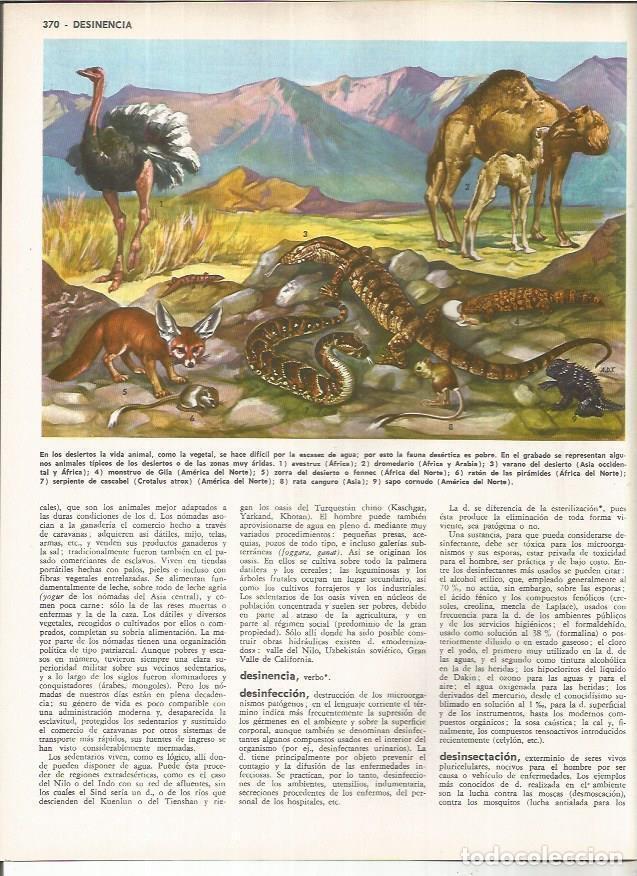 Cartoline: LAMINA MONITOR 01166: Fauna del desierto - Varios