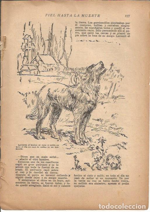 Postales: LAMINA 27152: Dibujo de Calderer - VVAA