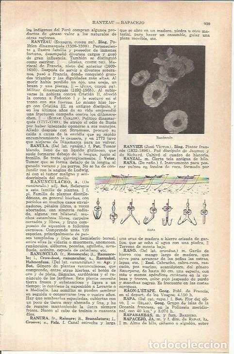 Postcards: LAMINA ESPASA 37859: Ranunculo - Varios