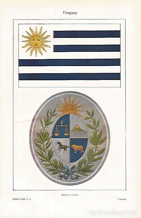 Postais: LAMINA ESPASA 31951: Bandera y escudo de Uruguay - Varios