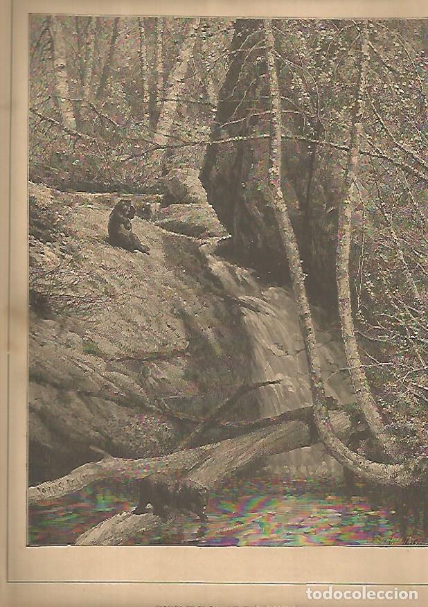 Postcards: LAMINA 13485: Cascada de la Roca del Vigia en Tenesee - Varios