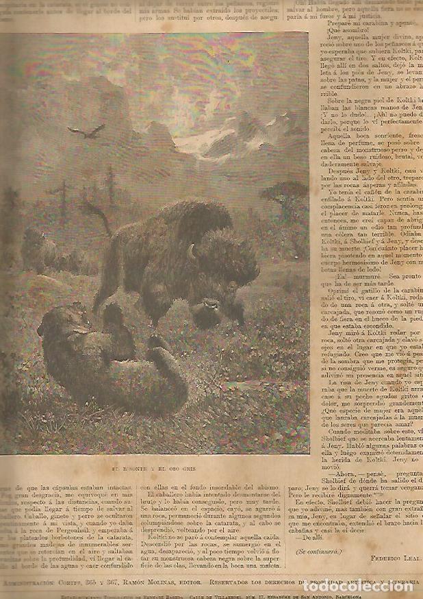 Postkarten: LAMINA 13460: El bisonte y el oso gris - Varios