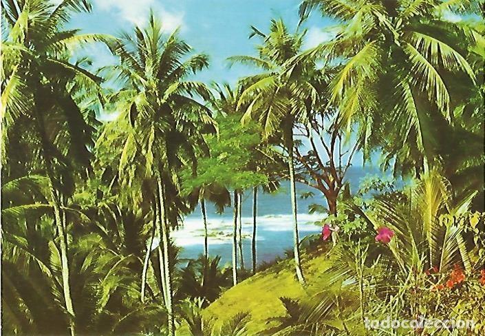 Cartes Postales: LAMINA 13123: Playa del Caribe - Varios