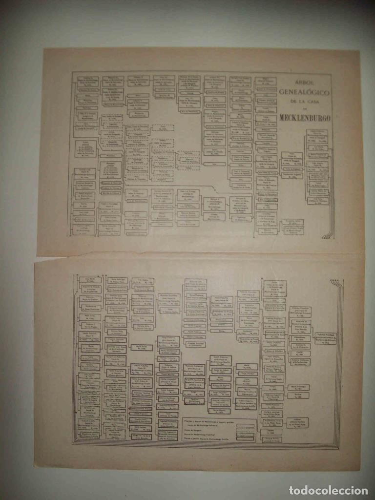 Cartes Postales: LAMINA ESPASA 32336: Arbol genealogico de la Casa de Mecklenburgo - Varios