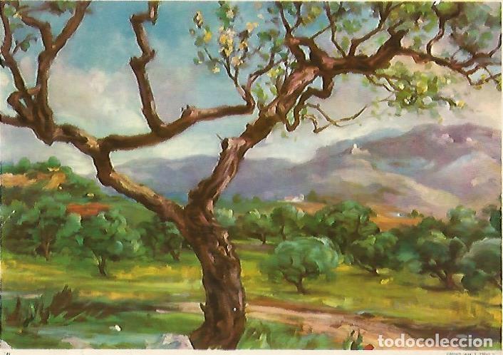 Postcards: LAMINA 13867: Paisaje, numero 46 - NULL