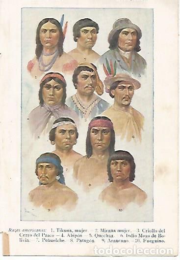 Postcards: LAMINA 13762:Razas americanas, dibujo de Tusell - Alfredo Opisso