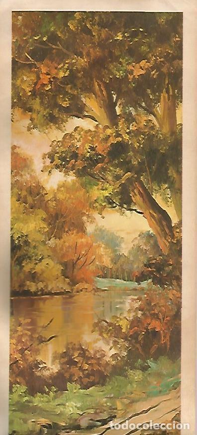 Postcards: LAMINA 13860: Paisaje de un rio, numero 43 - NULL