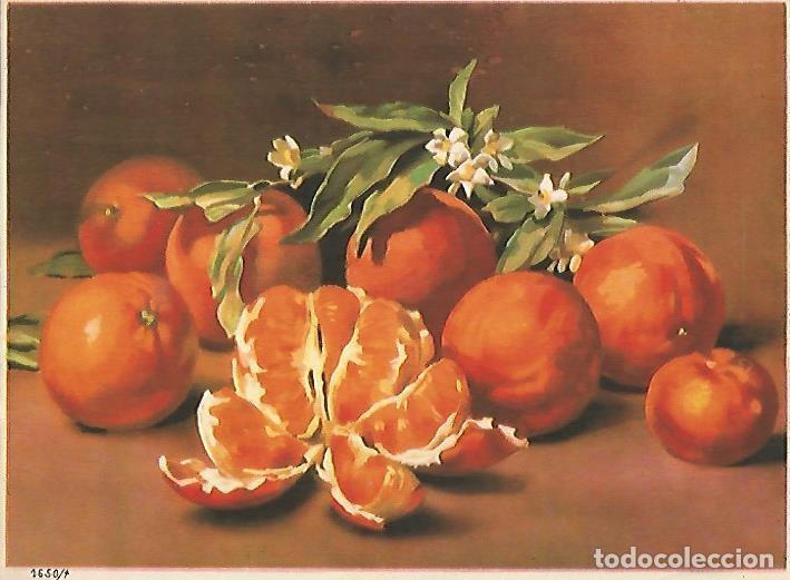 Postcards: LAMINA 13884: Bodegon, numereo 1650-4 - NULL