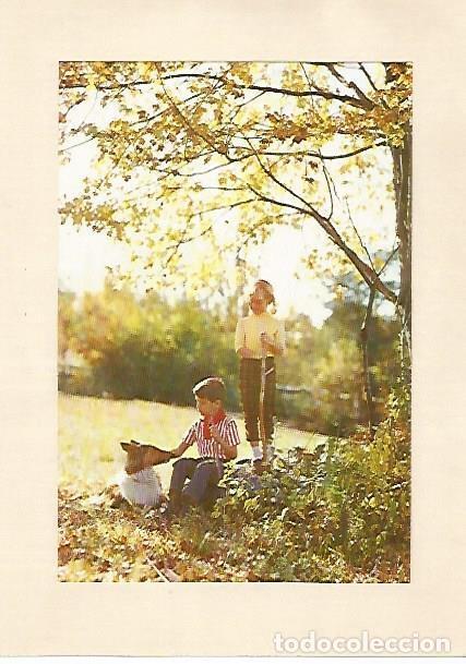 Cartoline: LAMINA 13893: Fotografia de ni&ntilde;os enmarcada en papel - NULL