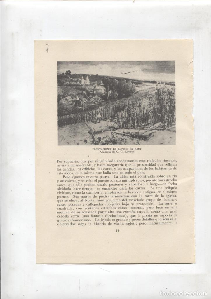 Cartoline: Las aldeas inglesas lamina 07: Plantaciones de Lupulo en Kent - NULL