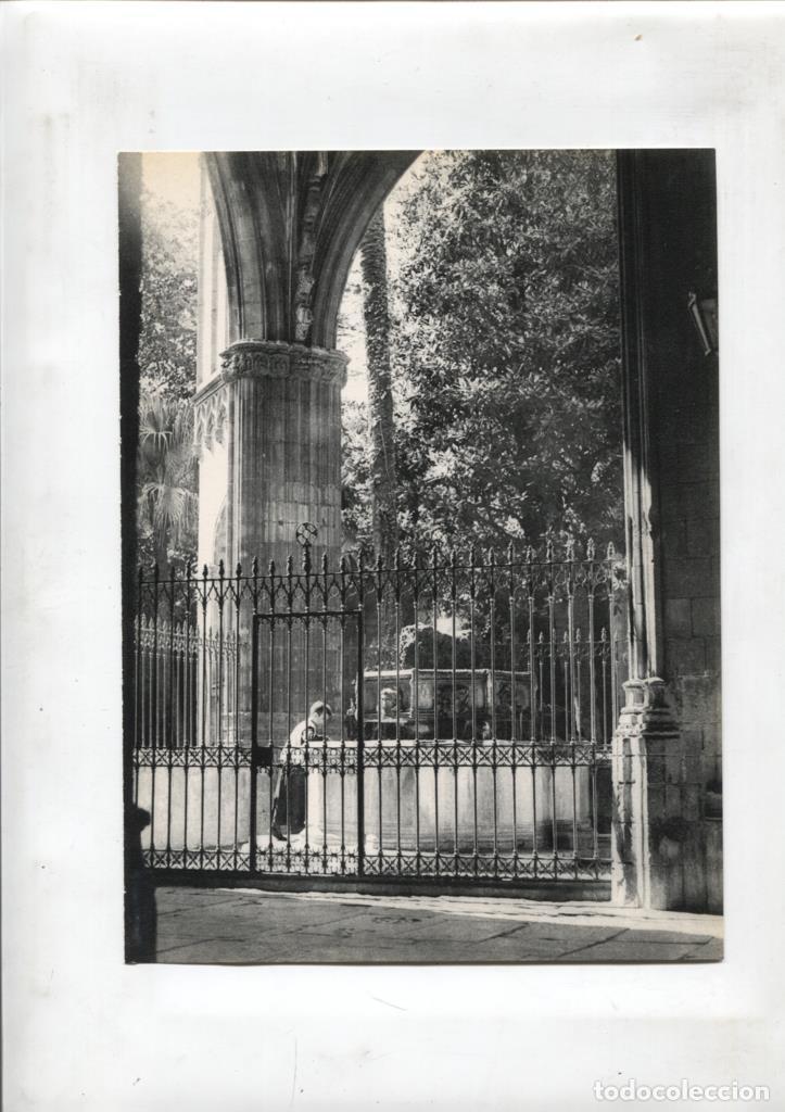 Cartoline: 50 racons de Barcelona lamina 18: Claustro de la catedral - NULL