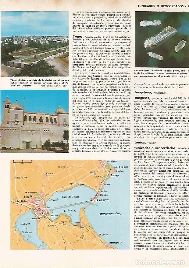 Postcards: LAMINA MONITOR 0726: Palacio del Gobierno, parque Habib Thameur y plano de Tunez - Varios