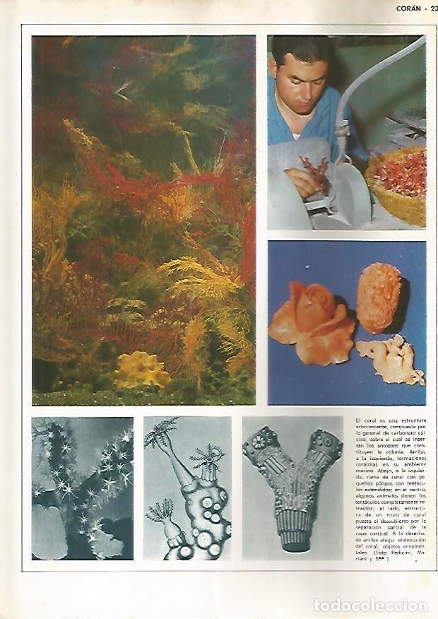 Postcards: LAMINA MONITOR 0792: Coral - Varios
