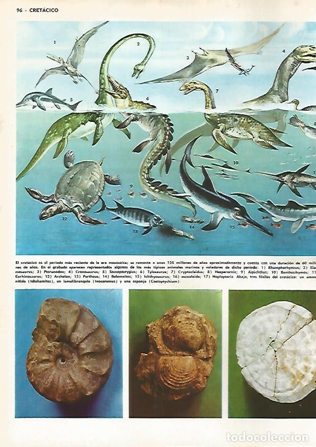 Postkarten: LAMINA MONITOR 0811: Animales marinos y voladores del Cretacico - Varios