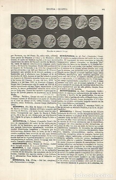 Cartes Postales: LAMINA ESPASA 33066: Monedas de Sinope - Varios