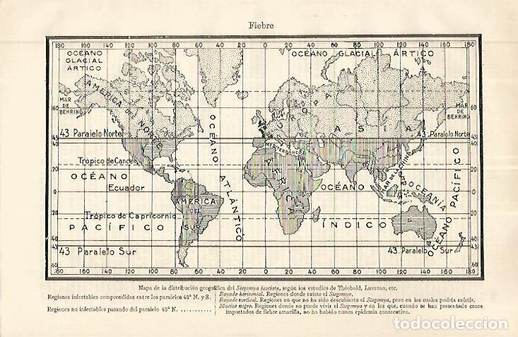 Postais: LAMINA ESPASA 32676: Mapa mundial de la Stegomya fasciata - Varios