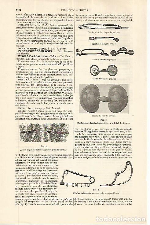 Postales: LAMINA ESPASA 32672: Fibulas nordicas - Varios