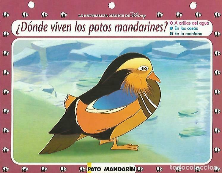 Postales: LAMINA 14079: Pato mandarin. Secretos de Oriente con Mulan - Varios