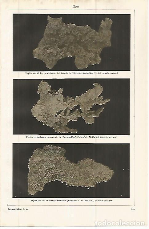 Postales: LAMINA ESPASA 32893: Pepitas de oro - Varios