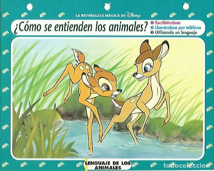 Postcards: LAMINA 14091: Lenguaje de los animales. Secretos con Bambi - Varios