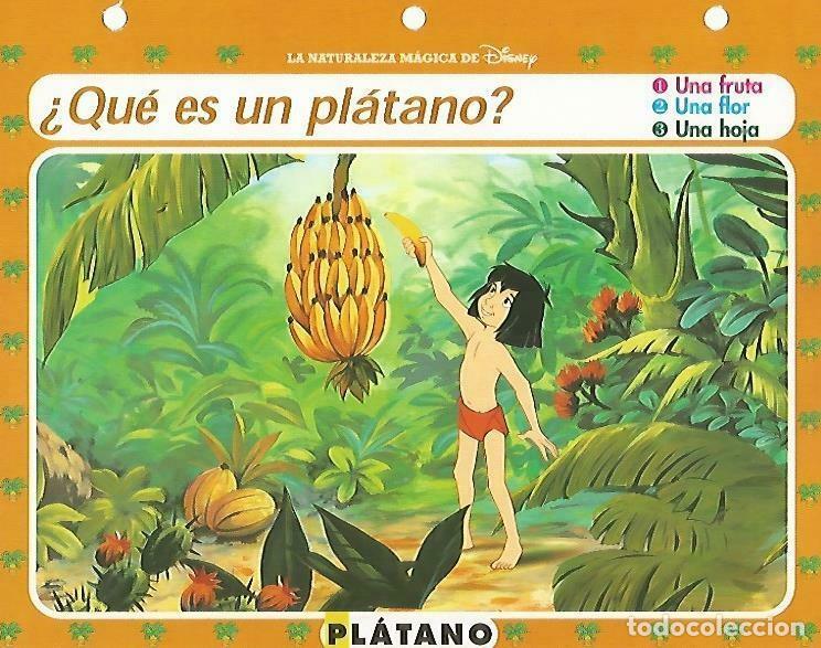 Postais: LAMINA 14080: Platano. Secretos de la jungla con Mowgli - Varios